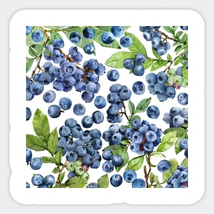 Watercolor blueberry Sticker